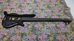 Sewa bass elektrik pontianak ( 40rb/hari )